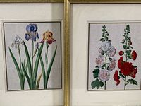 Both framed botanical prints perched side by side showing Iris and Holly Hocks illustrations in gold painted frames.