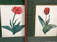 Two framed tulip prints labeled Electra Tulip and Couleur Cardinal Tulip, showing overall wood frames with red and gold tones and green marbled matting.