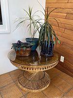 Wicker coffee table with three live plants on top: African violet in basket pot, two other live plants in blue ceramic pots