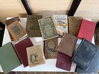 Full overview of the 15 antique and vintage books arranged on a white surface, showing varied colors, binding styles, and wear.