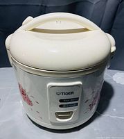 Front view of the Tiger electric rice cooker showing the control panel with Keep Warm and Rice Cook buttons and cream handle on top.