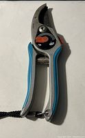 Overall view of garden shears with blue and gray handles, showing ergonomic design and wrist strap.