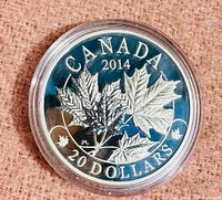 Front of the 2014 Canadian $20 silver coin showing maple leaf design, date, and denomination in clear plastic holder.