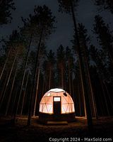 Geodesic dome illuminated in forest at night, front view
