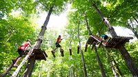 Three people navigating wooden suspension bridges and platforms in a forest during an aerial obstacle trek, wearing harnesses and helmets.