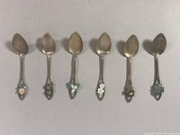 Photo showing all six sterling silver collector spoons with enamel floral designs arranged side by side