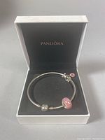 Pandora bangle displayed inside original branded box showing the full bangle and both charms.