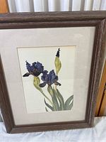 Framed botanical print showing two purple iris flowers, buds, and leaves under glass in a wooden frame.