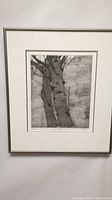 Framed artwork showing two alder trees in the etching, overall framed art view.