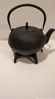 Front angled view of black cast iron Japanese style tea pot with attached handle and stand.