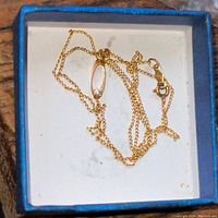 Full view of the delicate gold chain with attached oval pendant holding a small diamond, shown coiled in a white box.