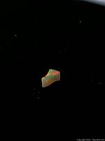 Close-up view of the small oblong-shaped fire opal showing its vivid play-of-color with green and orange hues against a black background.