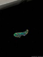 Close-up of the polished elongated fire opal specimen showing vibrant green and blue color flashes against black background.