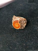 Front view of ring on black background showing ammolite fossil and silver filigree detail