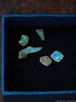 Five fire opals in a small blue-lined display box showing a mix of rough and polished stones with teal blue and iridescent color play.