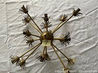 Photo of a brass ceiling lamp with 12 spokes ending in flower-like designs, viewed from below.