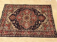 Full view of the rectangular area rug showing central medallion and surrounding border patterns.