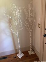 Shows the pair of tall light-up trees with white birch bark style trunks and multiple white branches, standing on square bases on wood floor near wall.