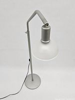 Full view of adjustable floor reading lamp showing the metal construction, round flat base, and glass cone shade from a side angle against a white backdrop.