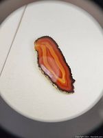 Top view of polished fire agate slice showing bright banding, highlights orange and red hues with a rough edge