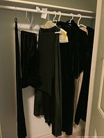 Photo showing several pairs of dark pants and skirts hanging in a closet, including velvet and polyester materials.