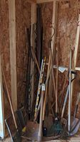 Wide view showing multiple wooden handled garden tools stored in a corner of a wooden shed.