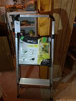 Front view of the Werner StepRight 2-step ladder showing the attached information","reason":"Shows brand and model details on attached label, size, and capacity