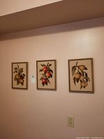 Three framed needlepoint artworks hanging on a wall showing different fruit designs with branches and leaves.