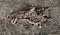 Full view of metal chains piled on dirt ground, showing varying lengths and rust.