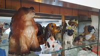 Group of assorted animal figurines displayed on glass shelf showing various dog breeds and a large brown bear figurine