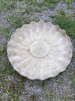 Top-down view showing the full scalloped edge and surface.