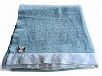 Folded mint green wool blanket with visible satin border and sewn label.