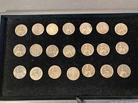 21 late 1800s large coins arranged on black felt.