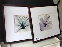 Photo showing both wooden floral print frames side-by-side with the 16-inch square size visible and dark wood frames.