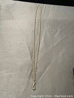 Full view of the long gold/tone chain laid flat on fabric background.