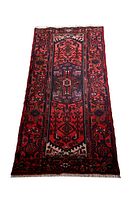 Full top-down view of the runner rug showing overall pattern and shape