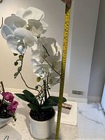 Tall white artificial orchid plant being measured with a tape measure showing about 24 inches tall.