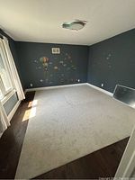Carpet laid out in an empty room showing full size and quality.