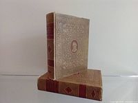 Front and side view of two antique books with embossed beige covers and red spine labels, standing upright.