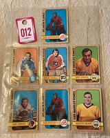 Nine OPC 1972-73 hockey goalie cards in a plastic sleeve.