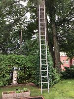Full view of ladder partially extended against tree
