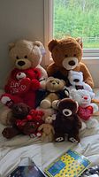 Photo showing 10 plush teddy bears and plush dog in various colors and sizes, with some holding heart pillows with romantic messages.