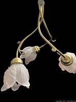 Front angled view showing three frosted pink glass floral shades mounted on curved brass arms with small curled details.