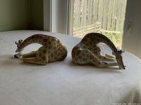 Two giraffe figurines sitting with bent necks, shown from side angle on white surface near window, natural light highlights spotted pattern and repaired neck on right figurine.