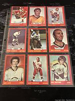 Photo of 9 hockey trading cards from 1973-74 O-Pee-Chee series, showing front sides with red border and player images.
