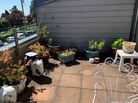 Outdoor balcony with multiple planters of different sizes and shapes, including elephant-shaped white one and several ceramic and plastic pots with plants or empty.