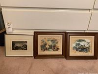 Three framed artworks by Wendy Yeo displayed side by side, two with brown wood frames and one with a lighter wood frame, showing 2 paintings and 1 etching.
