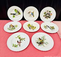 Eight white ceramic plates with embossed floral edges, each depicting different colorful Audubon bird illustrations, displayed on a red cloth.