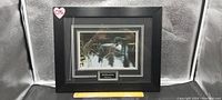 Framed Robert Bateman print featuring a loon on water, with visible ruler showing size and a label with artist's name and print title.