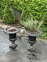 Front view of two black cast iron garden urns on pavement, one holds a plant.